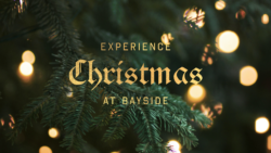 Experience Christmas at Bayside Folsom