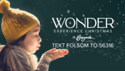 WONDER: A Christmas Series