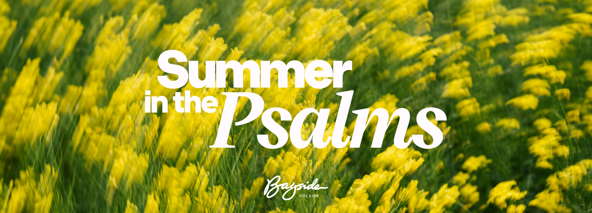 Summer in the Psalms